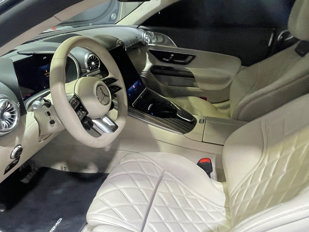 2025 Mercedes-Benz AMG GT Coupe 55 - Photo 39