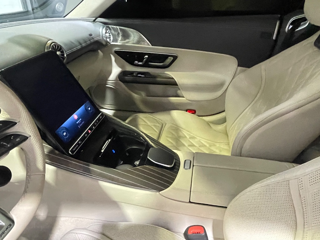 2025 Mercedes-Benz AMG GT Coupe 55 - Photo 9